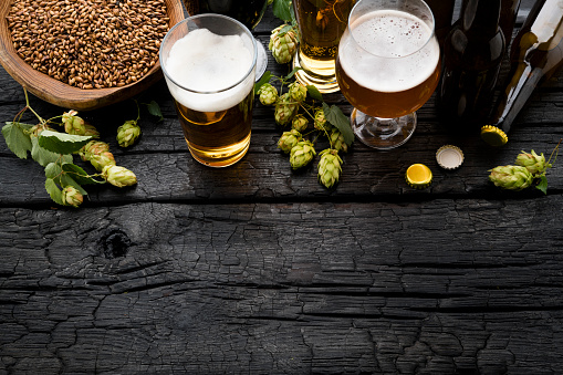 The Current State of Sustainable Brewing – 3 Craft Beer Brewers Setting Positive Examples