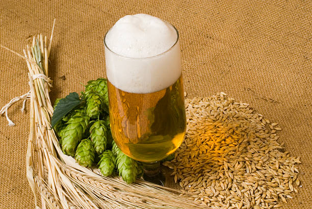 5 Unique Environmentally Friendly Craft Brewery Practices That Deserve Recognition