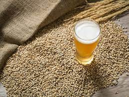 Revolutionizing The Art Of The Craft Beer Yeast Brewery Fermentation Process